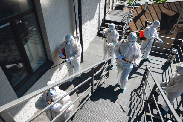  Dawson, GA Mold Removal Pros