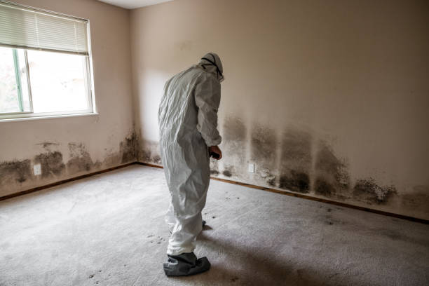 Dawson, GA Mold Removal Company